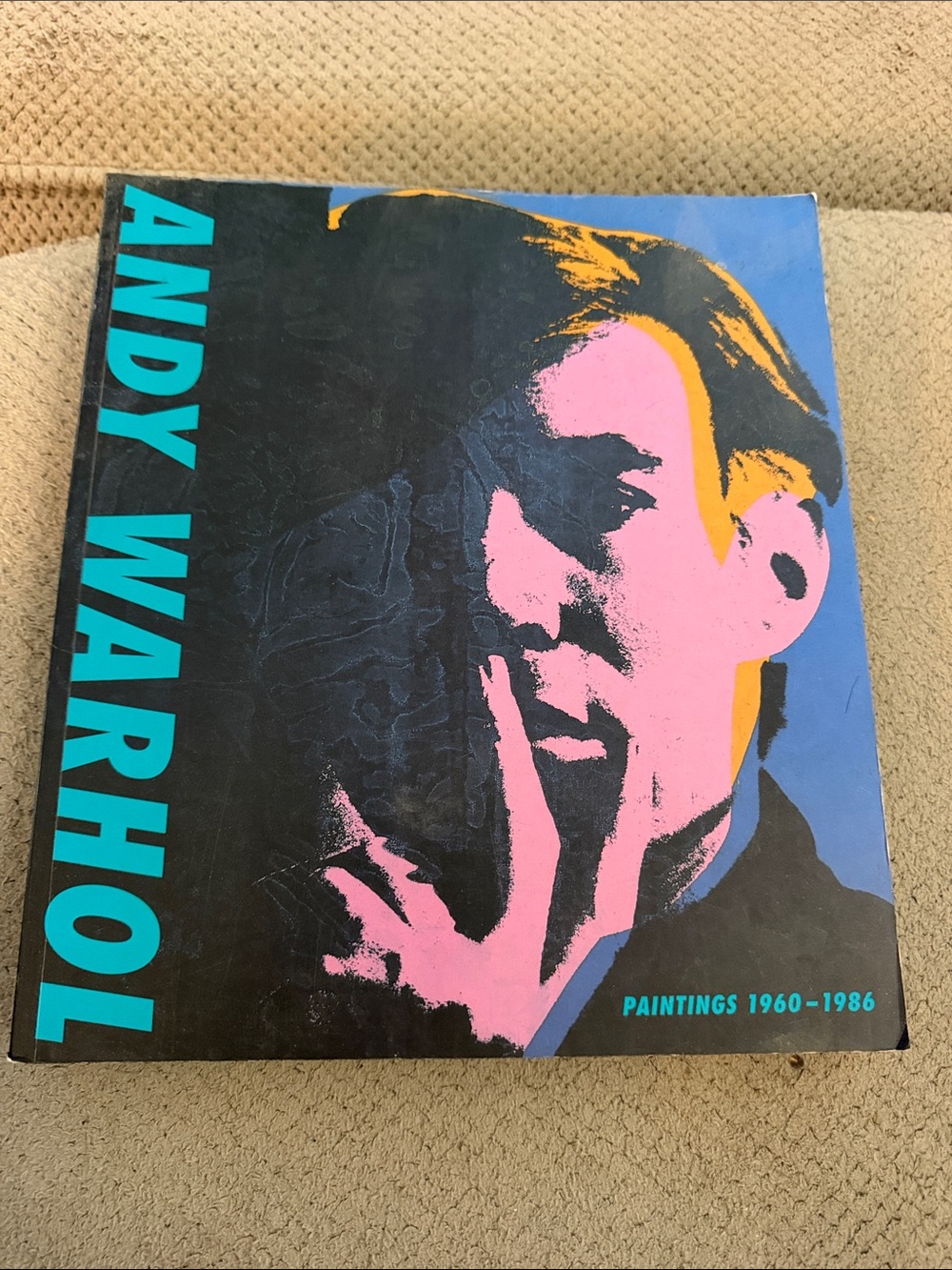 Andy Warhol Pop Art Print Cover - Blue & Pink